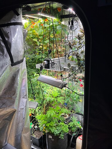 Growreport Bild 14