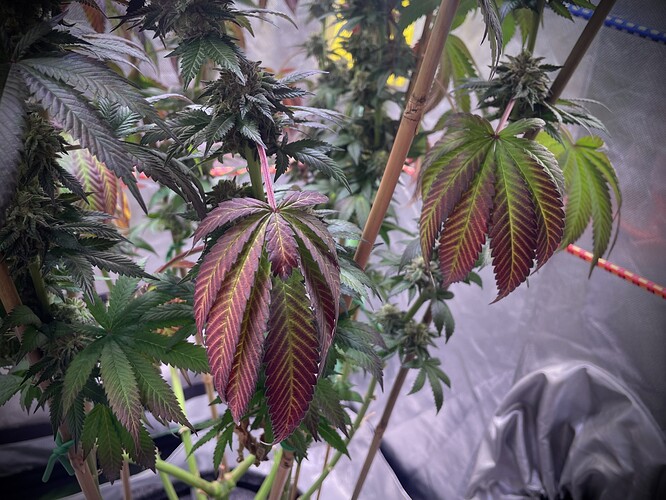 Growreport Bild 16