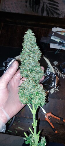 Growreport Bild 12
