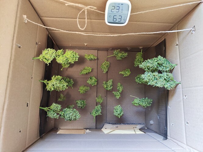 Growreport Bild 20