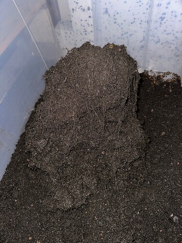 Growreport Bild 18