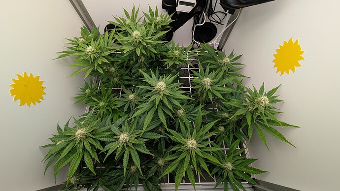 Growreport Bild 11