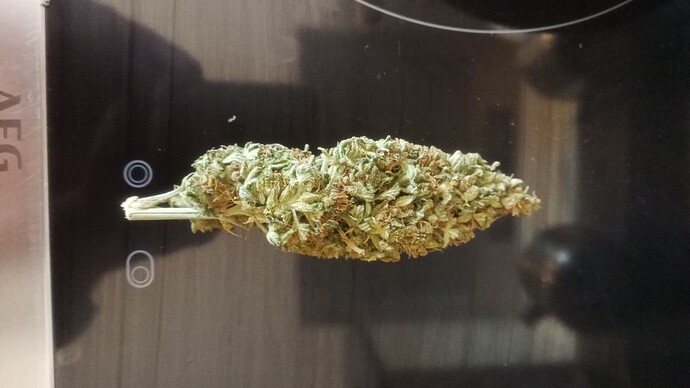 Growreport Bild 12