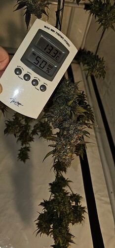 Growreport Bild 79