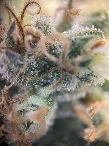 Growreport Bild 7