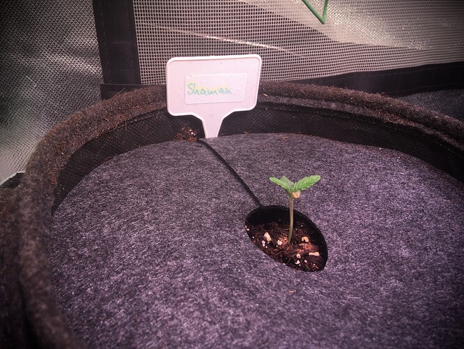 Growreport Bild 8