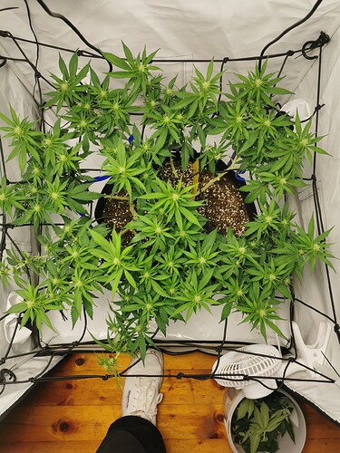 Growreport Bild 8