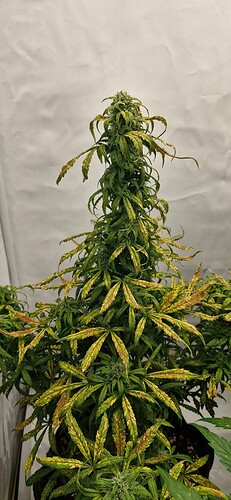 Growreport Bild 22