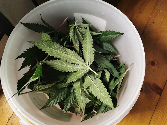 Growreport Bild 5
