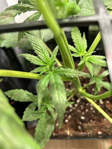 Growreport Bild 11
