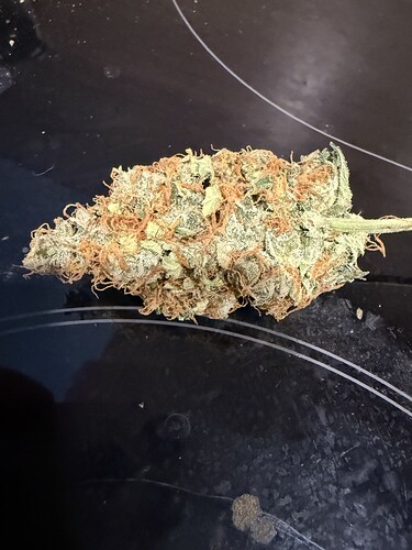Growreport Bild 6