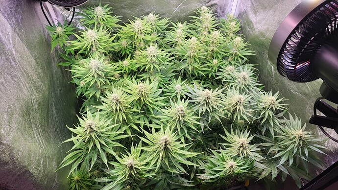 Growreport Bild 12