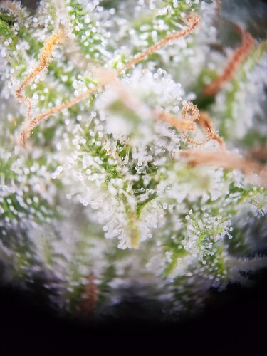 Growreport Bild 11