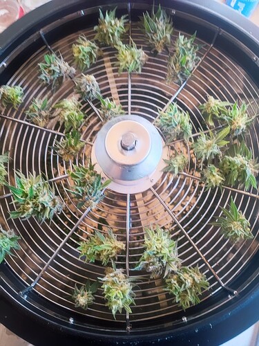 Growreport Bild 20