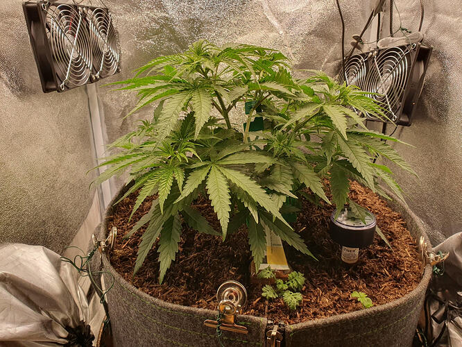 Tag 32 -2026-03-08-233345_007