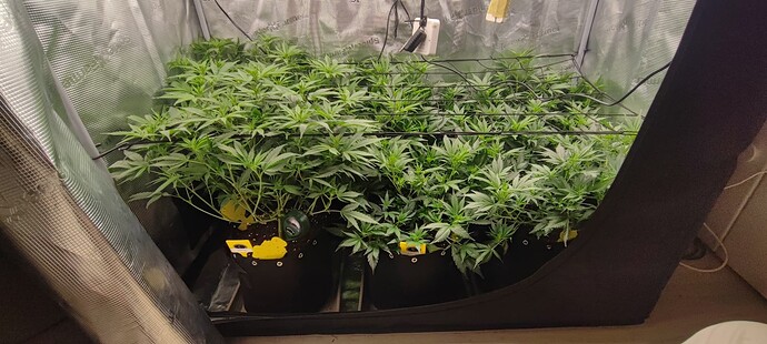 Growreport Bild 8