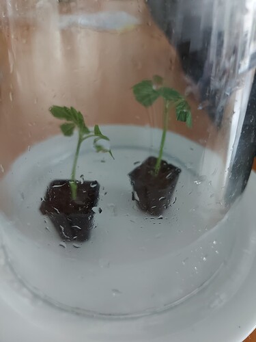 Growreport Bild 14