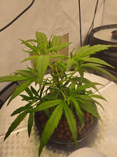 Growreport Bild 2