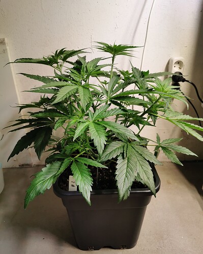 Growreport Bild 10