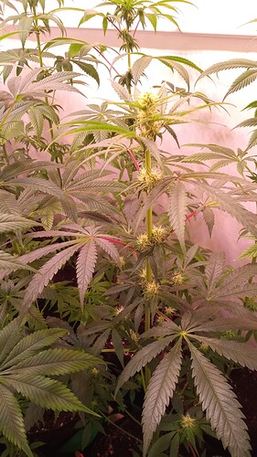 Growreport Bild 6