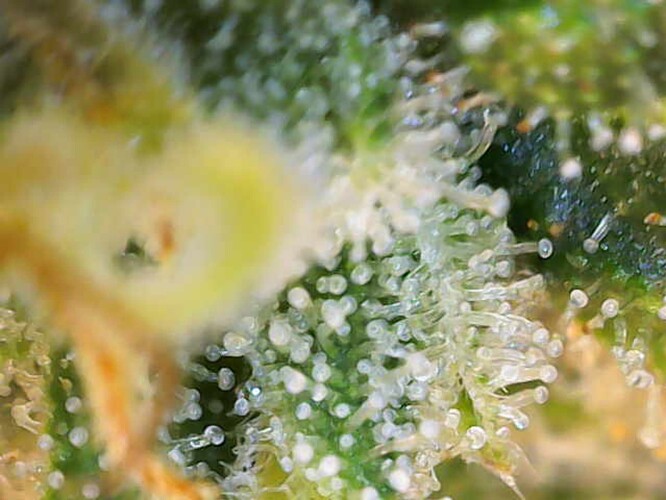 Growreport Bild 11