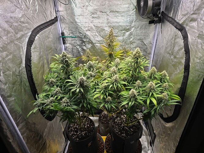 Growreport Bild 1