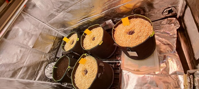 Growreport Bild 63
