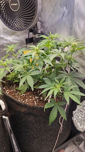 Growreport Bild 7
