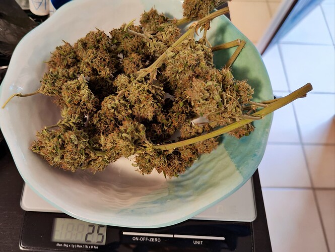 Growreport Bild 1