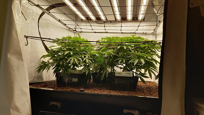 Growreport Bild 16