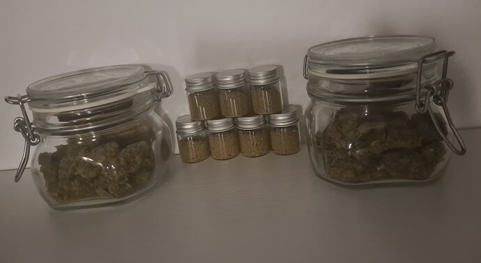Growreport Bild 150
