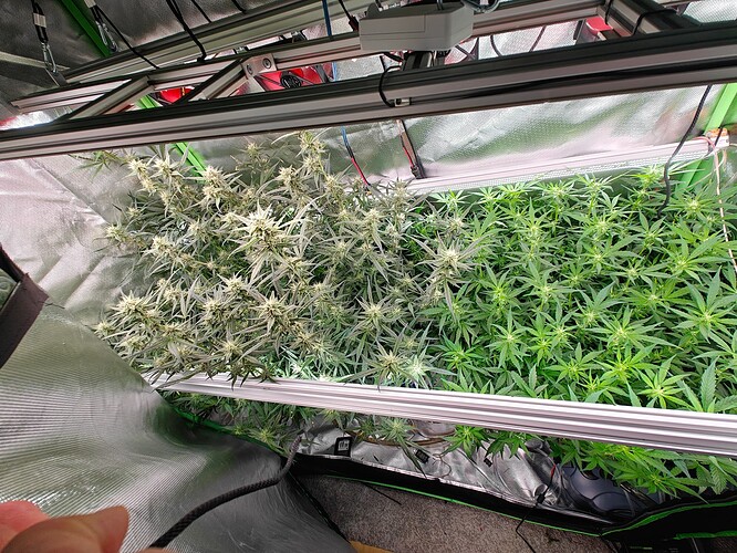 Growreport Bild 1