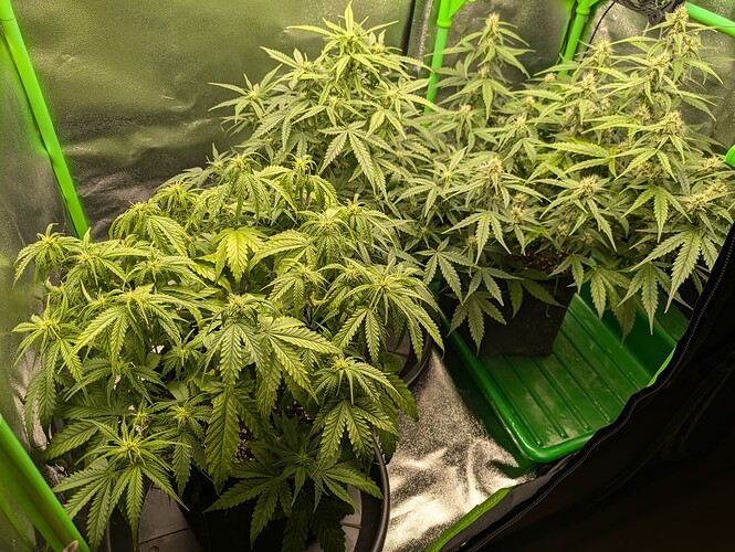 Growreport Bild 6
