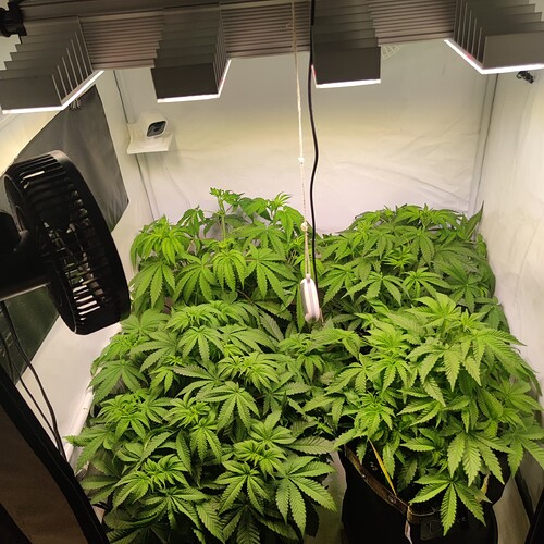 Growreport Bild 10