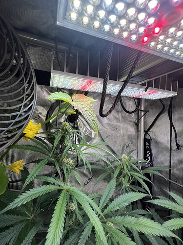 Growreport Bild 2