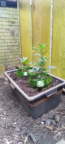Growreport Bild 4