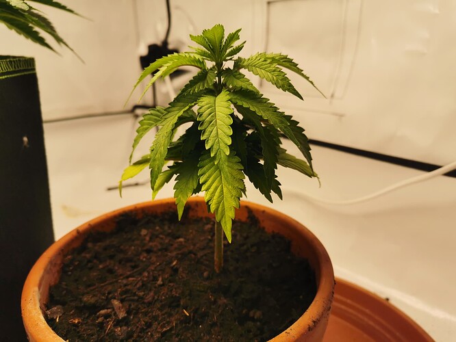 Growreport Bild 10
