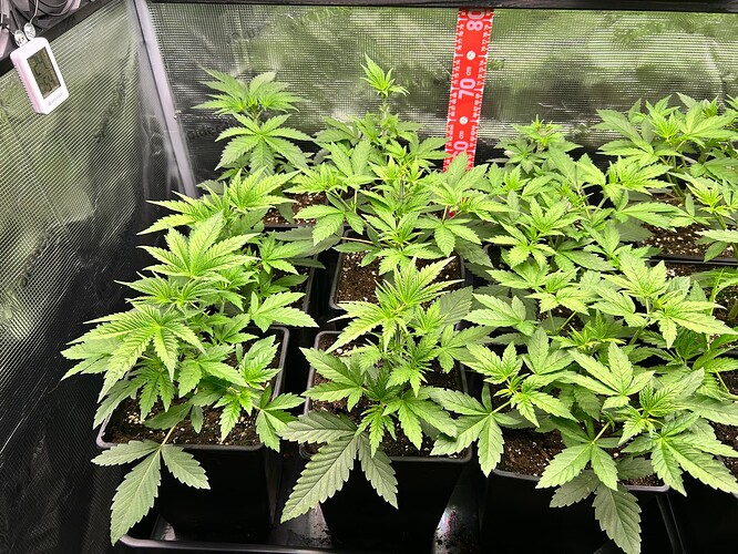 Growreport Bild 16