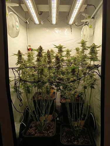Growreport Bild 12