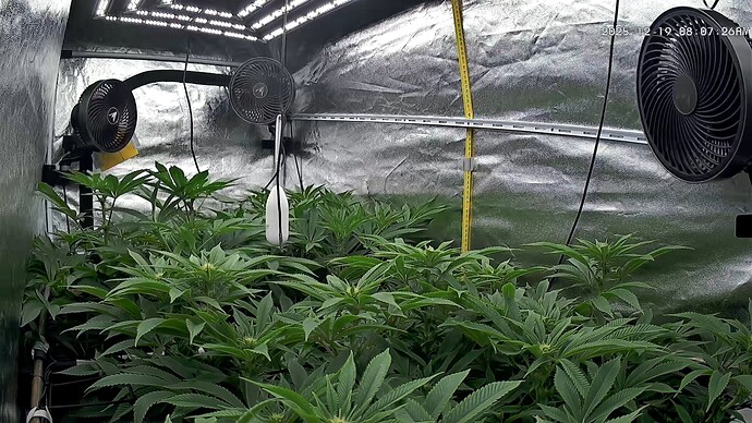 Growreport Bild 22