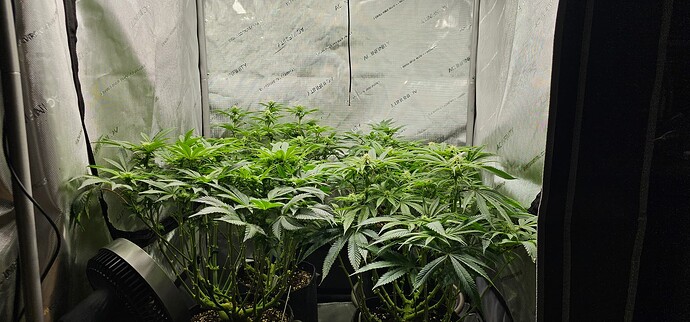 Growreport Bild 3