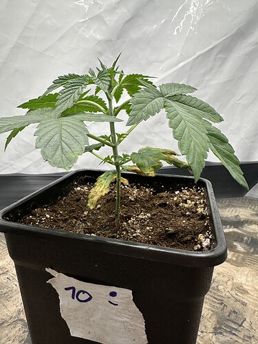 Growreport Bild 21