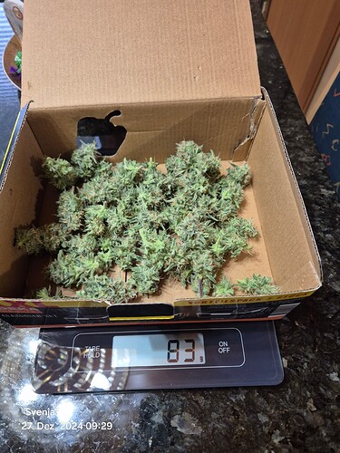 Growreport Bild 10
