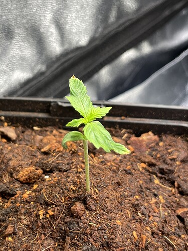 Growreport Bild 10
