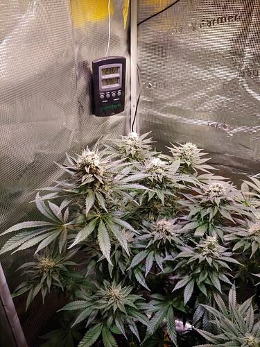 Growreport Bild 4