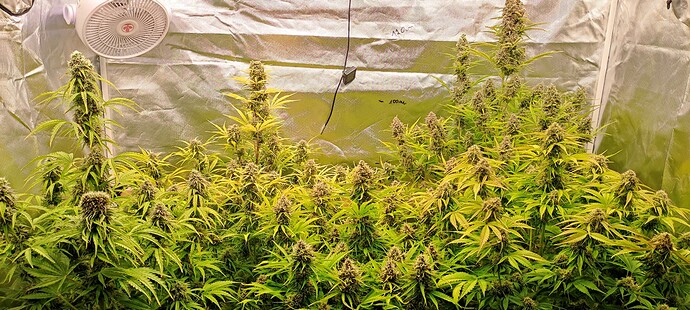 Growreport Bild 21