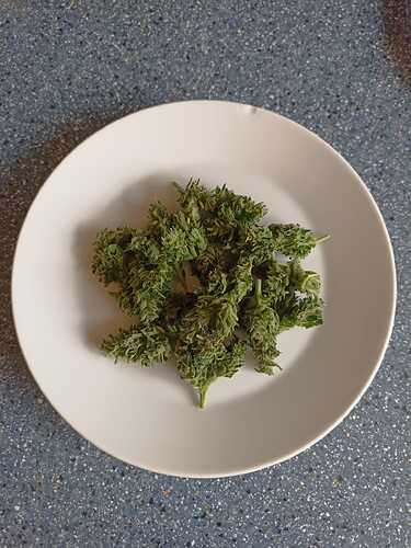Growreport Bild 2