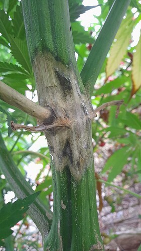 Growreport Bild 19