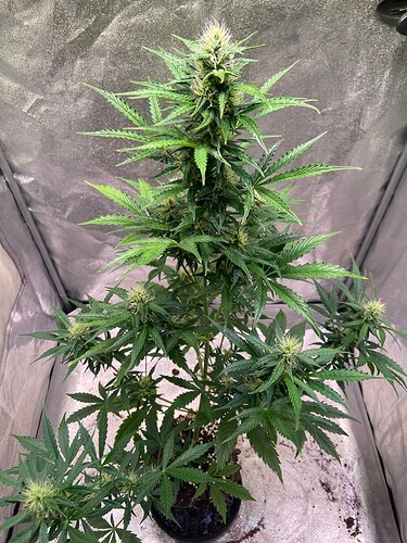 Growreport Bild 10