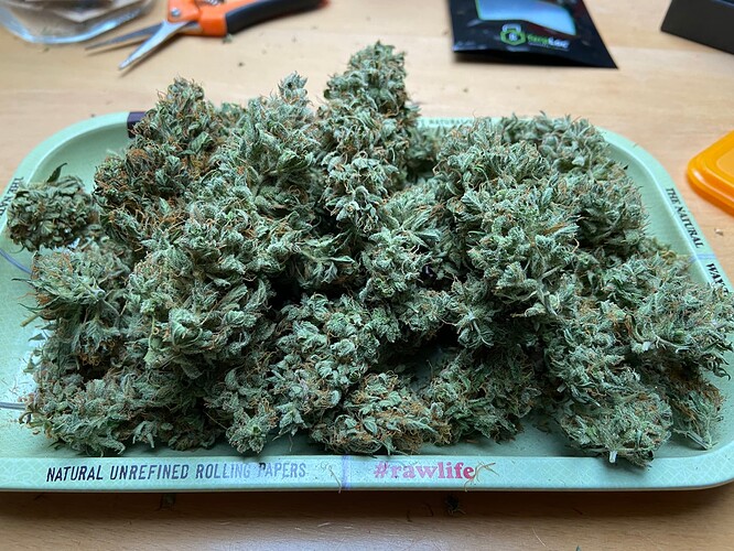 Growreport Bild 9